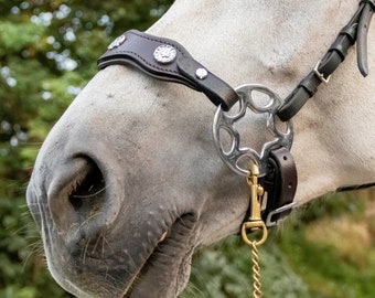 Hackamore barokke stijl ster wiel in zwart en zilver kleur, hackamore neusriem, paard bitloos hackamore, zwarte neusriem leer