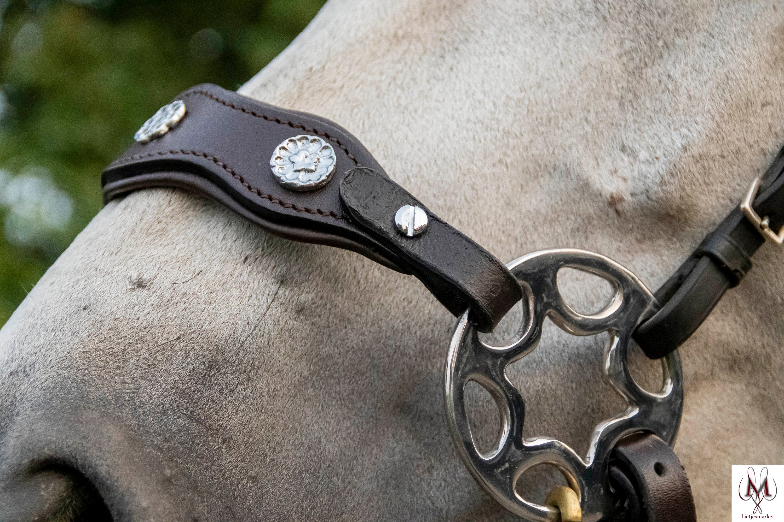 Hackamore for sale Only 3 left at 70