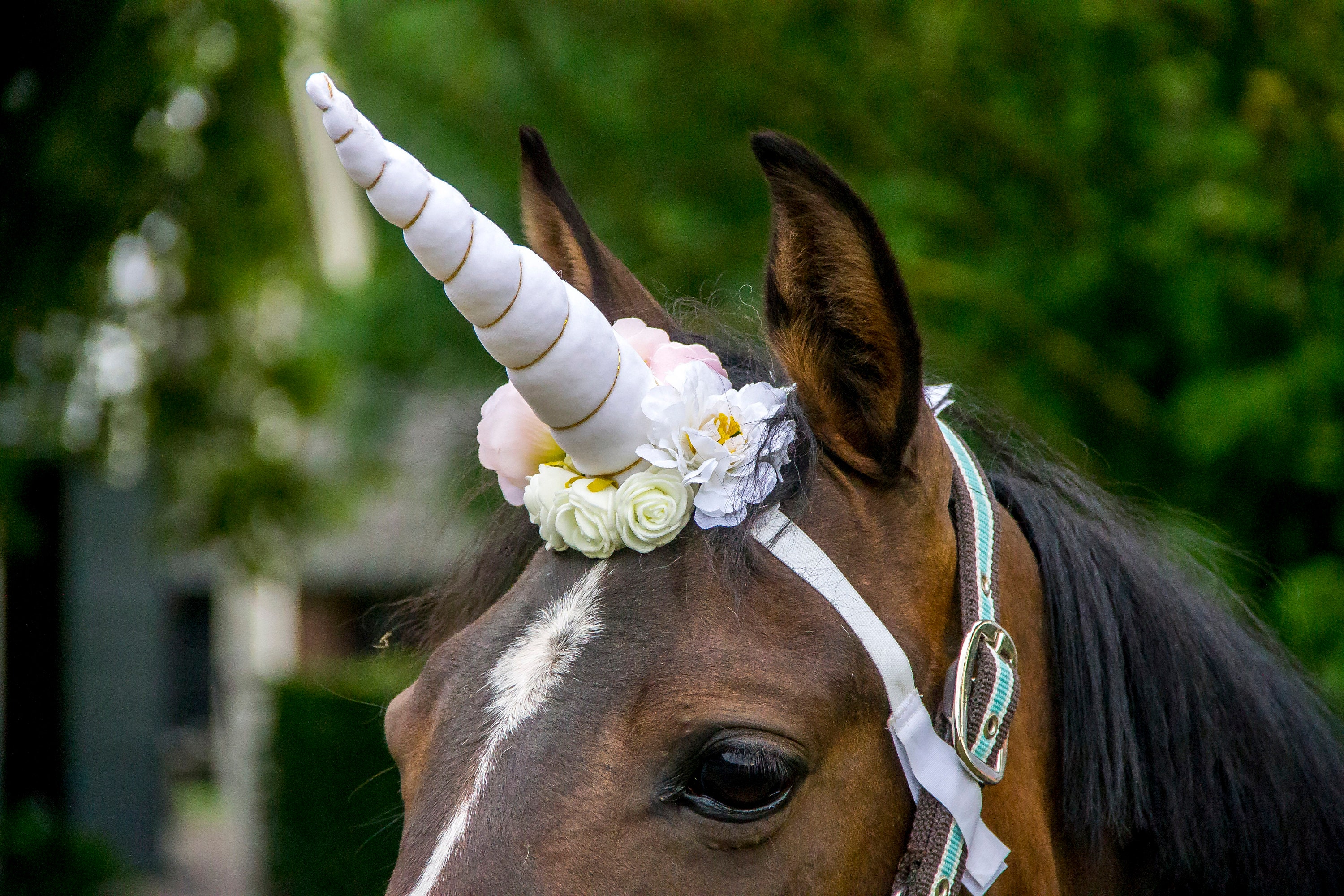 White Unicorn Horn for Horse and Pony With Flowers. Free - Etsy Norway