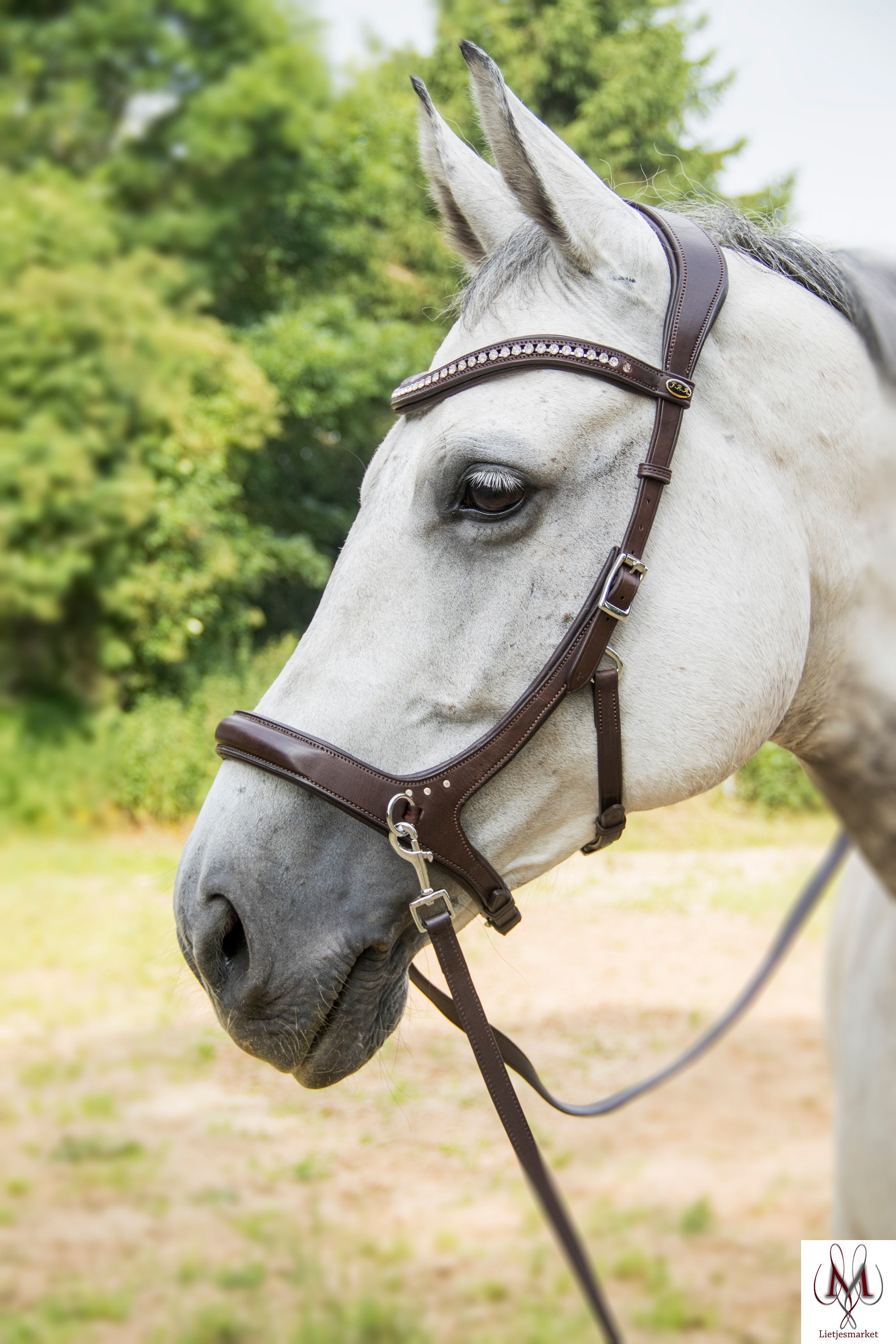 落*生様 ワイルドスワンズ FULL GRAIN BRIDLE / ALARD L字ジップウォレット《アラード》フルグレインブライドル
