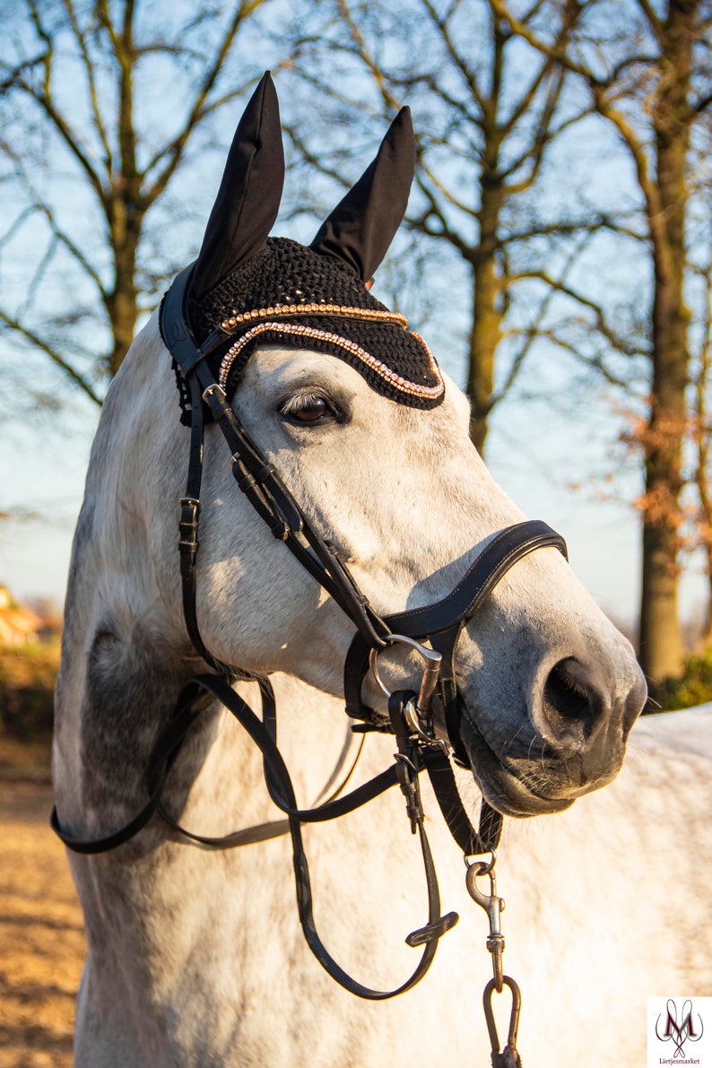 fly bonnet black double row rose gold strass, horse fly bonnet with strass image 8