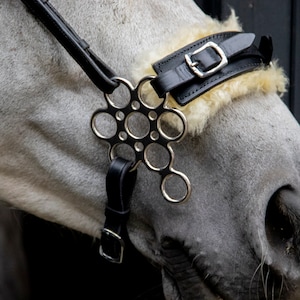 Hackamore zwart flower wheel silver with fur noseband black leather, horse tack, bitless horse riding