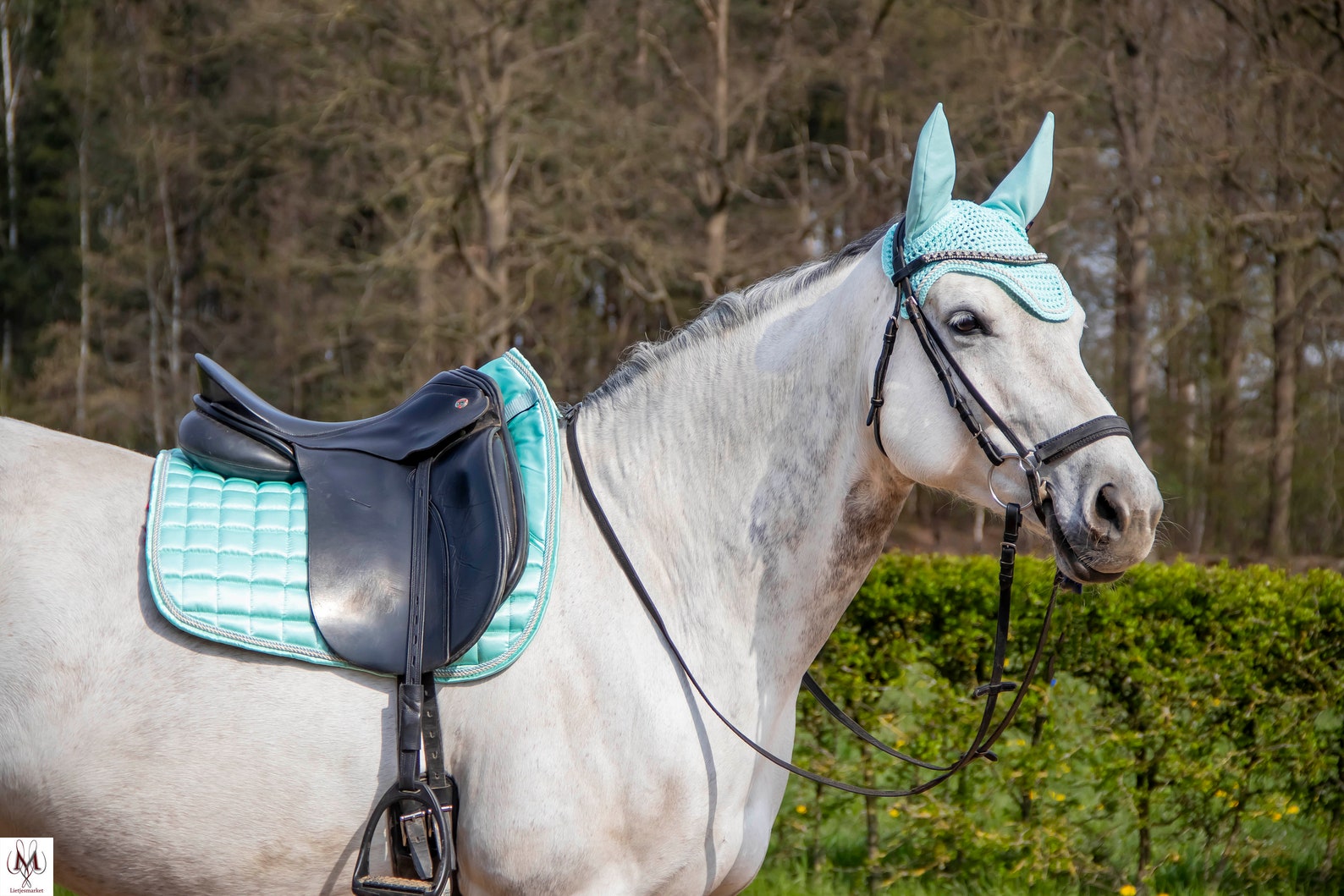 Mint Green Saddle Pad, Saddle Pad Mint, Dressage Saddle Pad Horse