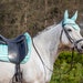 see more listings in the Saddle pads and sets section