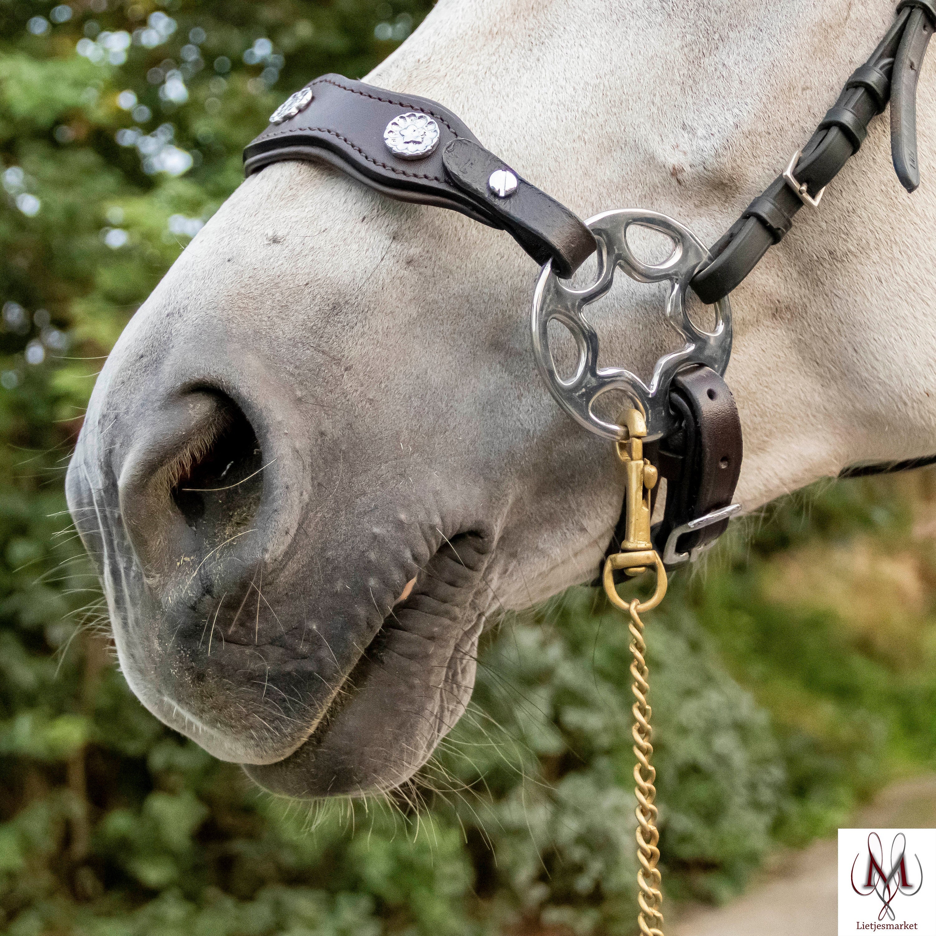 Hackamame En Cuir Tressé - Bride Sans Mors Pour Cheval - Taille Réglable - Équitation éthologique