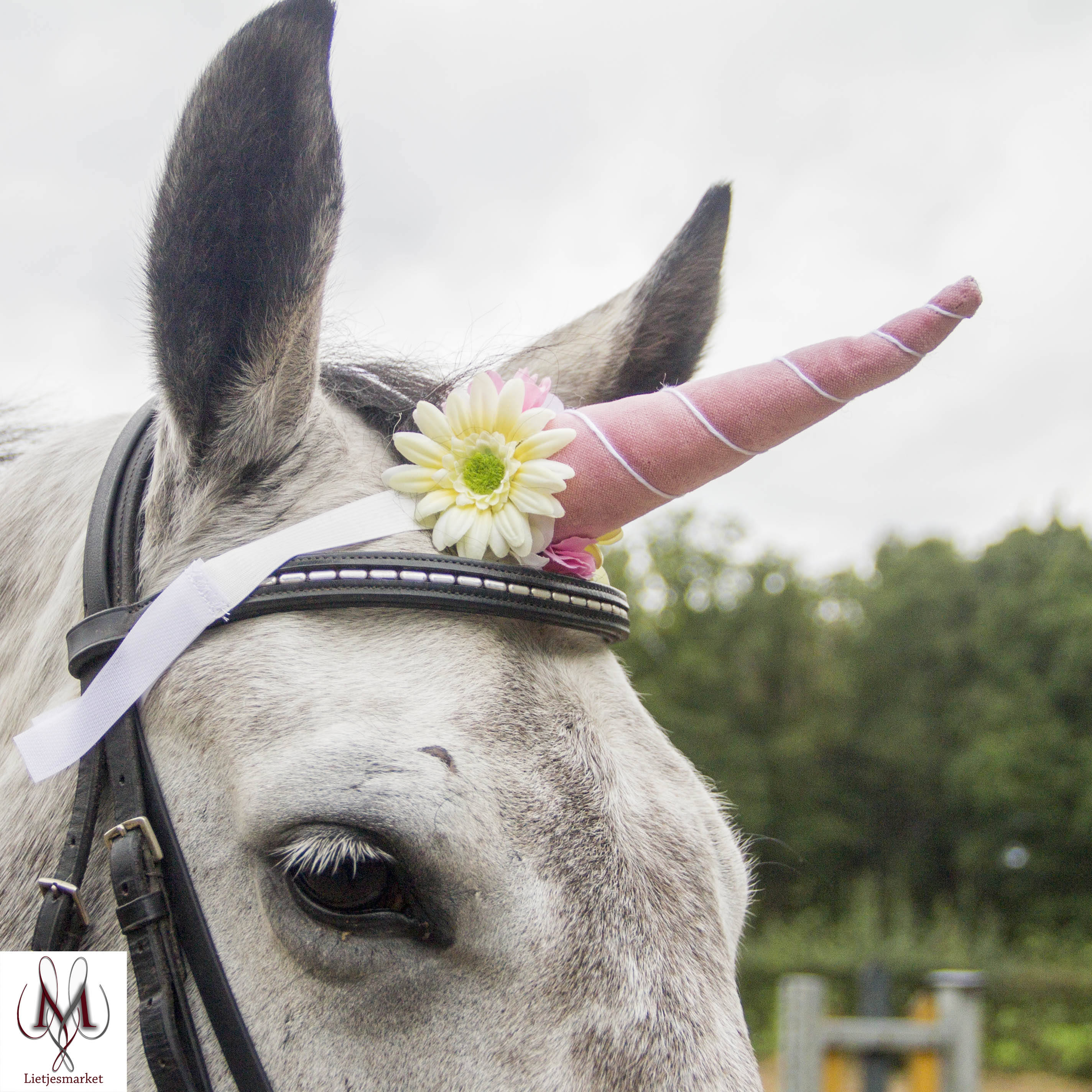 Rosa Einhorn rosa Einhorn Pferd Einhorn rosa Pony fliegen | Etsy