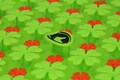 Snufflemat for your horse, sniffing mat horses, horsetoy and puzzle. product logo