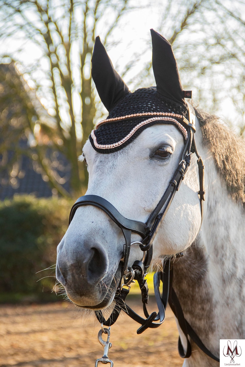 fly bonnet black double row rose gold strass, horse fly bonnet with strass image 2