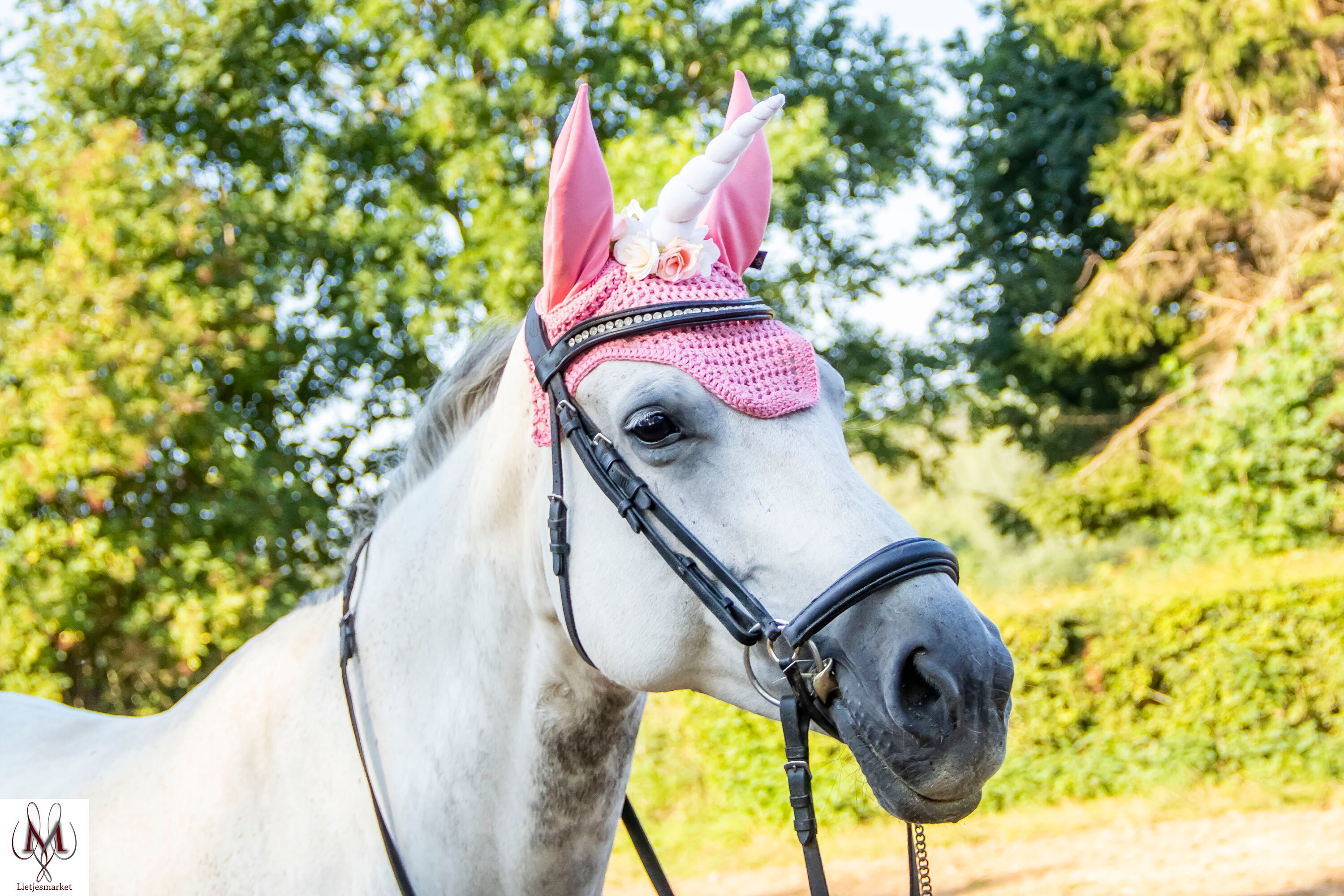 Disfraz de Caballo Brujo Traje de Fantasía para Equinos para Halloween  Disfraz para Caballos, Disfraz de Equino -  México