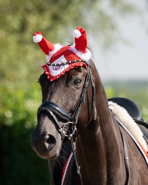 Tapis De Selle Cheval Costume De Noël Pour Cheval - Lot De 6 Pièces Avec Fausse Fourrure Et Tapis De Sable Western Lot Bonnet De Noel Adulte