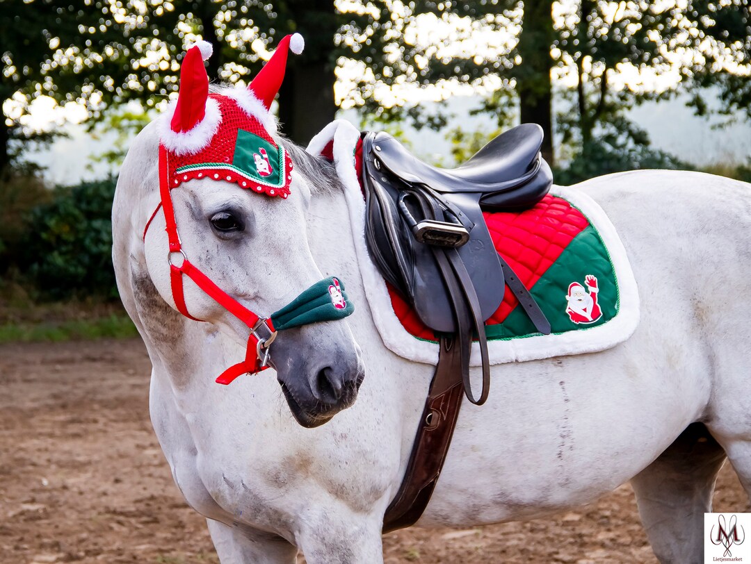Kerst set voor je paard dekje halster kerst Etsy België