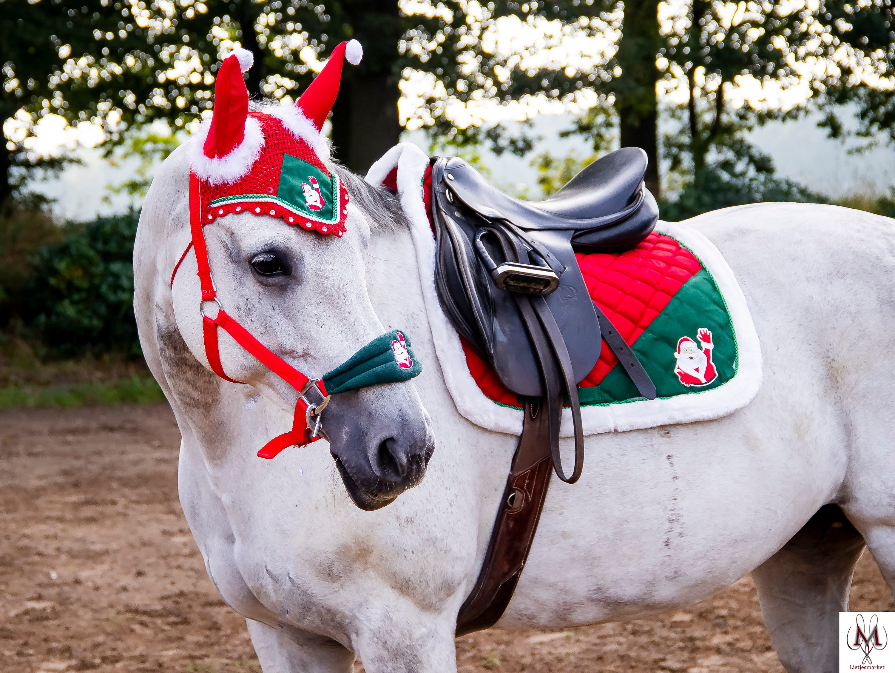 Meevoelen Spijsverteringsorgaan kast Kerst set voor je paard dekje oornetje halster kerst - Etsy België