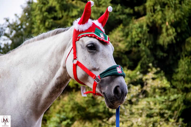 Kerst set voor je paard dekje halster kerst Etsy Nederland