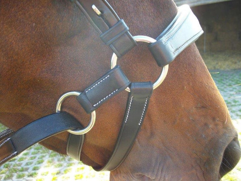 Chin Crossed Bridle Black Horse Tack Chin Crossed Noseband Etsy