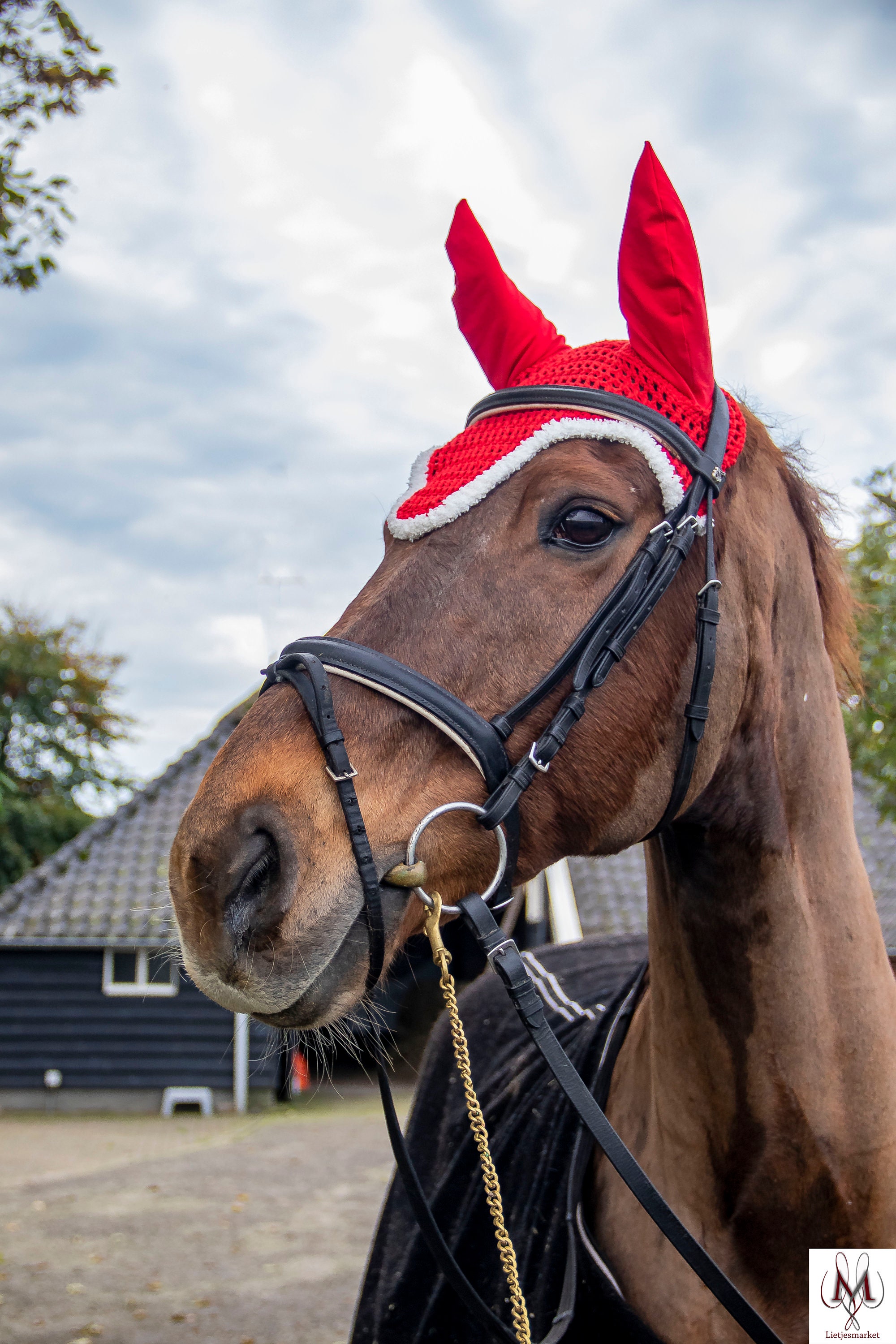 Kerst paard vliegenmuts kerst pony kerst outfit Etsy