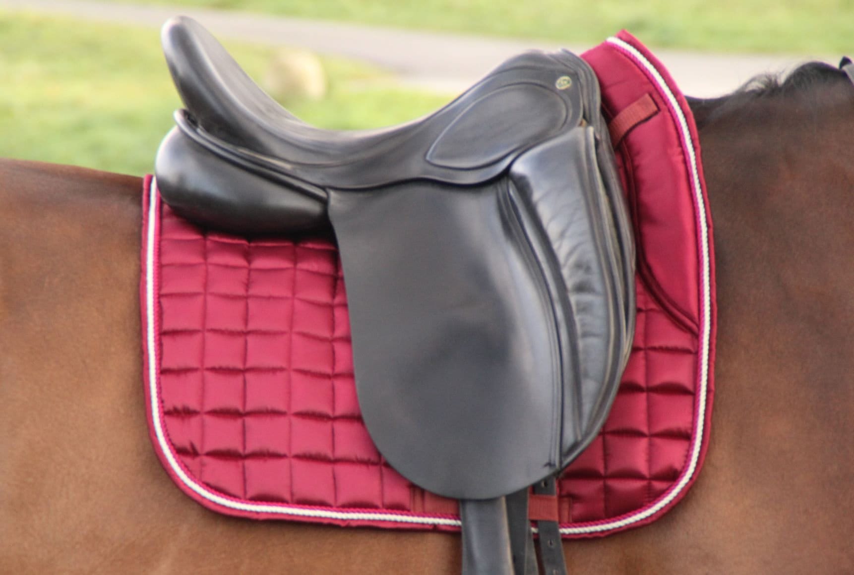 Burgundy Red Saddle Pad Saddle Pad Red Dressage Saddle Pad Etsy UK