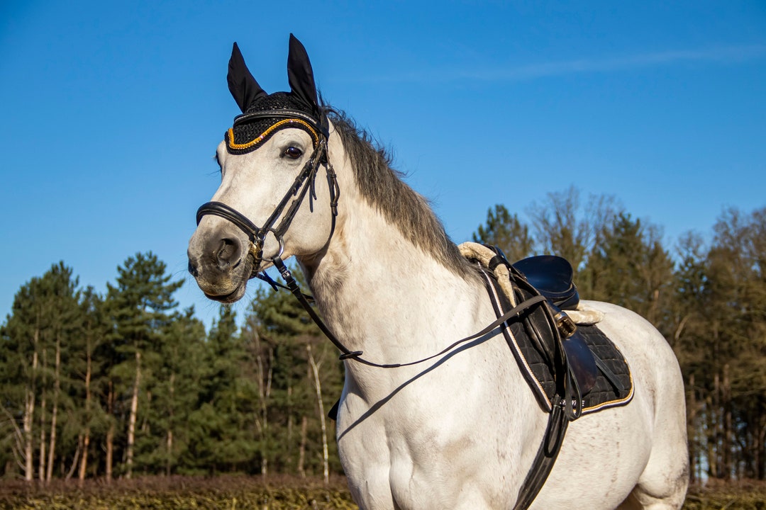 Deep Black Saddle Pad, Saddle Pad Black, Jumping Saddle Pad Horse