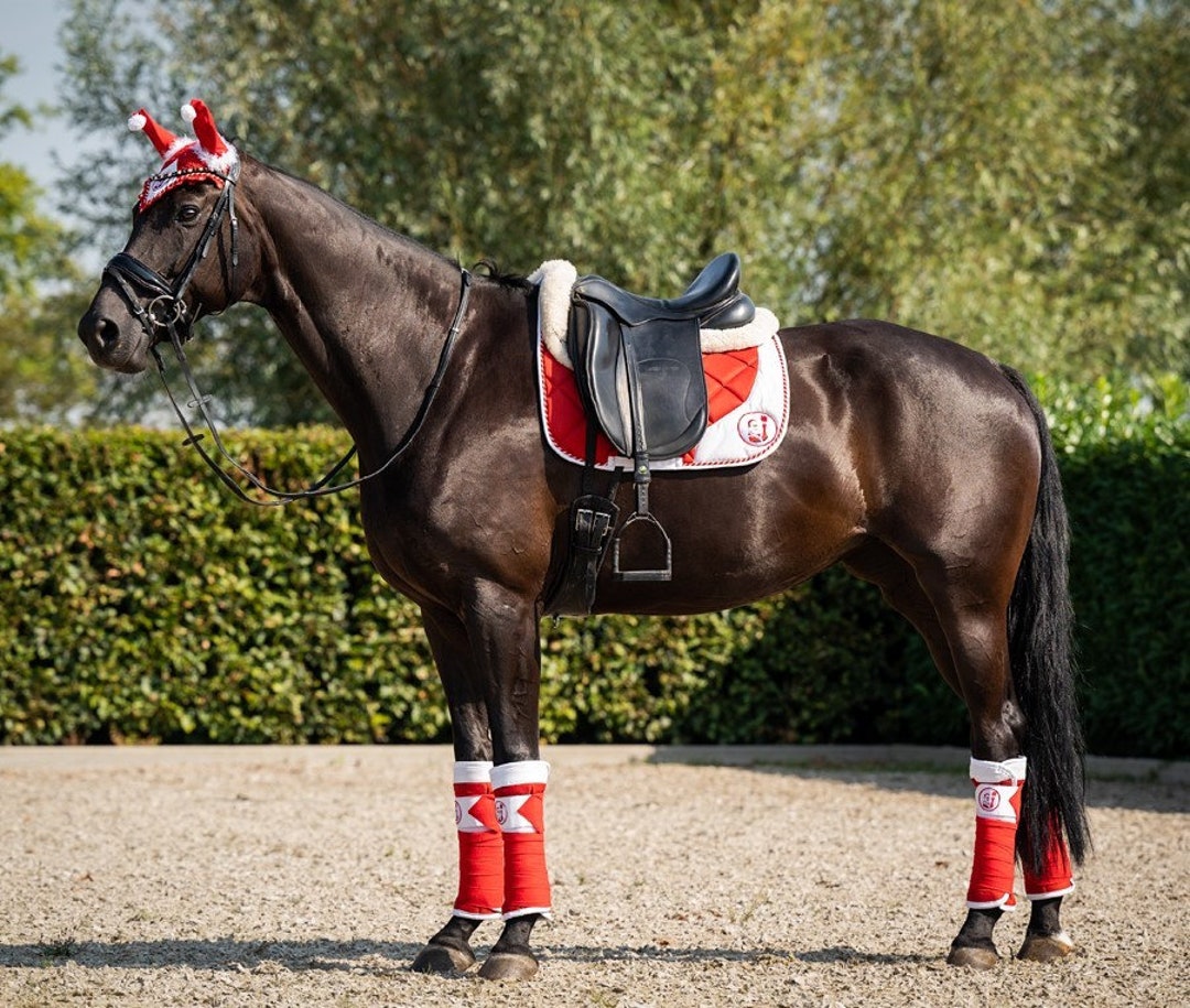 Kerst set voor je paard dekje halster kerst Etsy Nederland
