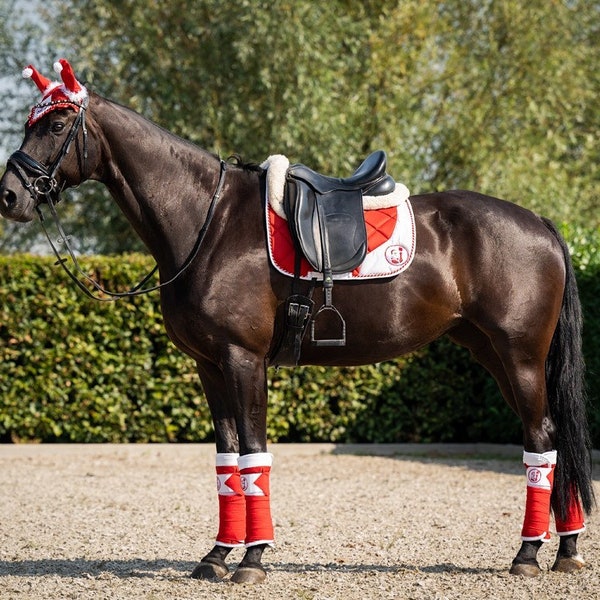 Red christmas set for horse and pony, chrismas saddle pad, red fly bonnet, christmas halter, delivery november 2022