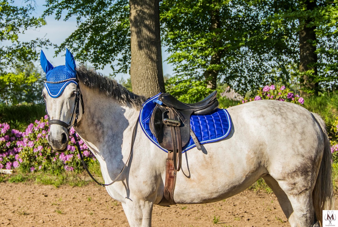 Royal blue western saddle pad cheap