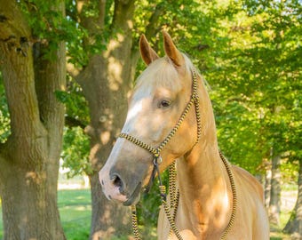 Bitless bridle fra igor. Chin crossed vegan cotton bridle for the horse