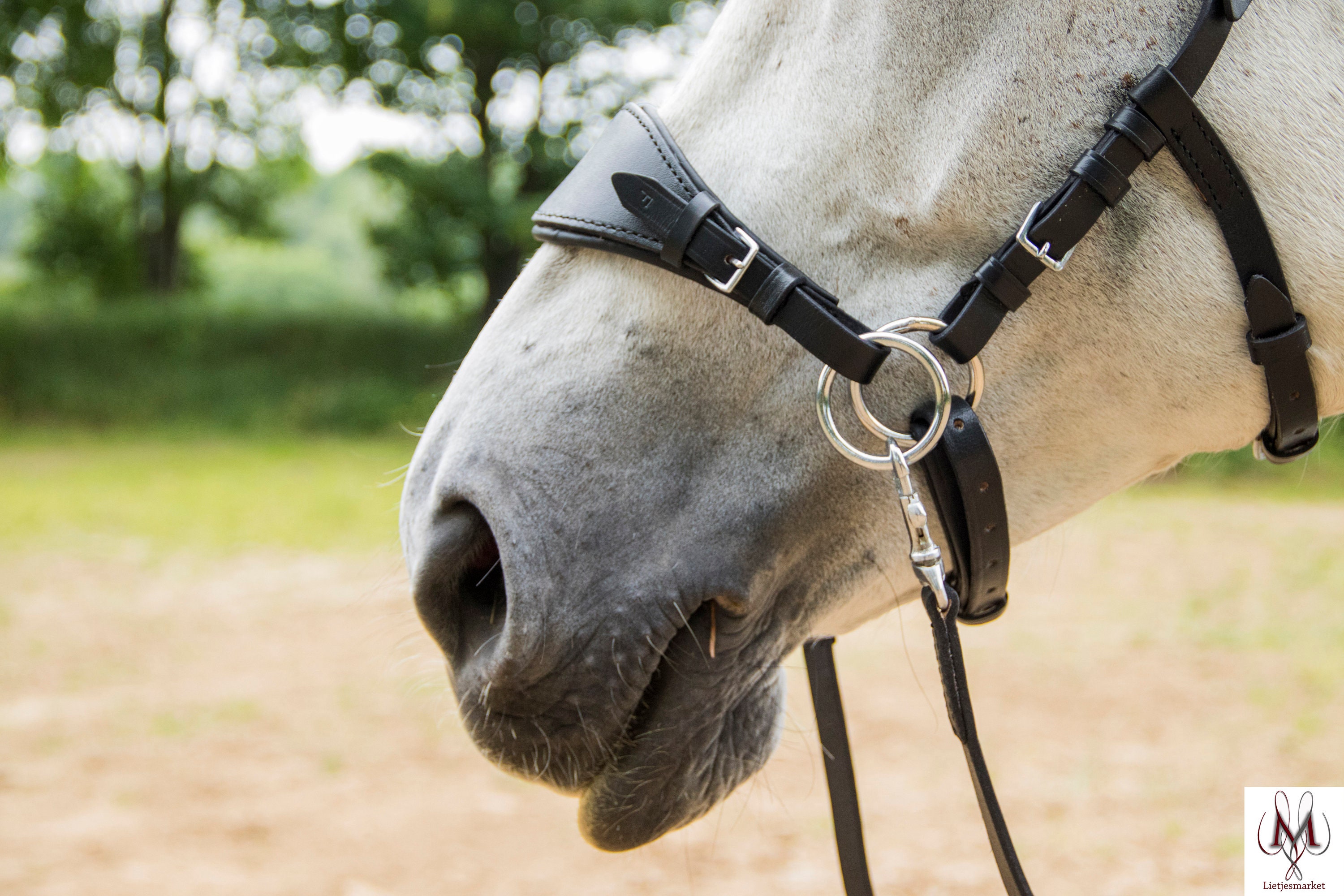 Horse Noseband -  Hong Kong