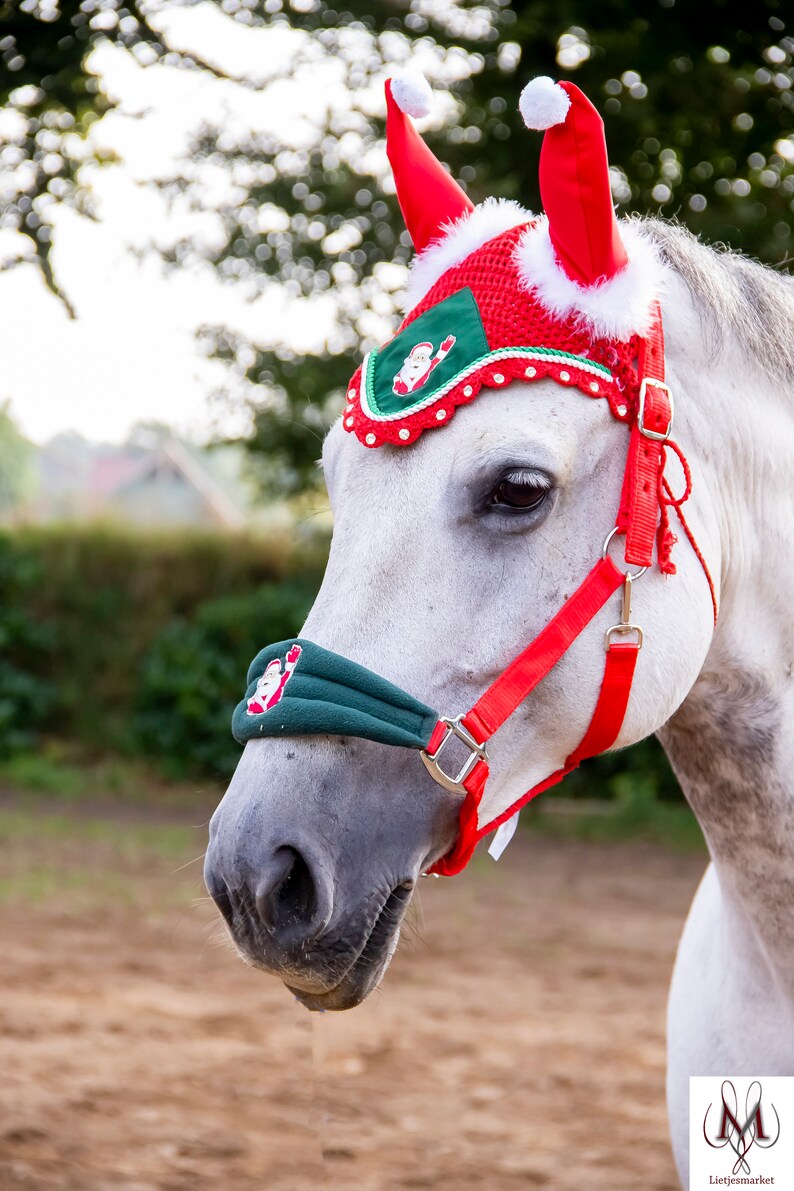 Kerst set voor je paard dekje halster kerst Etsy Nederland
