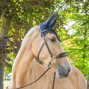 Hsckamore bridle glory for bitless riding, hackamore system 2
