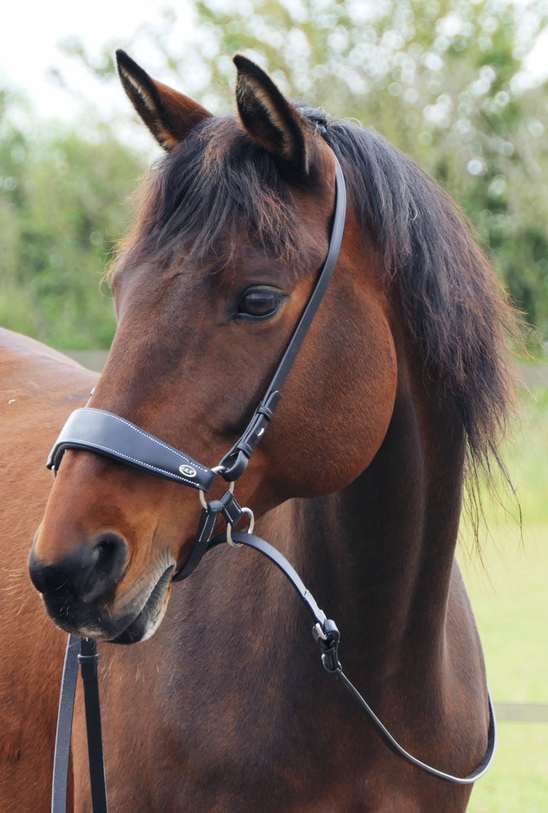 Chin Crossed Bridle Black Horse Tack Chin Crossed Noseband Etsy