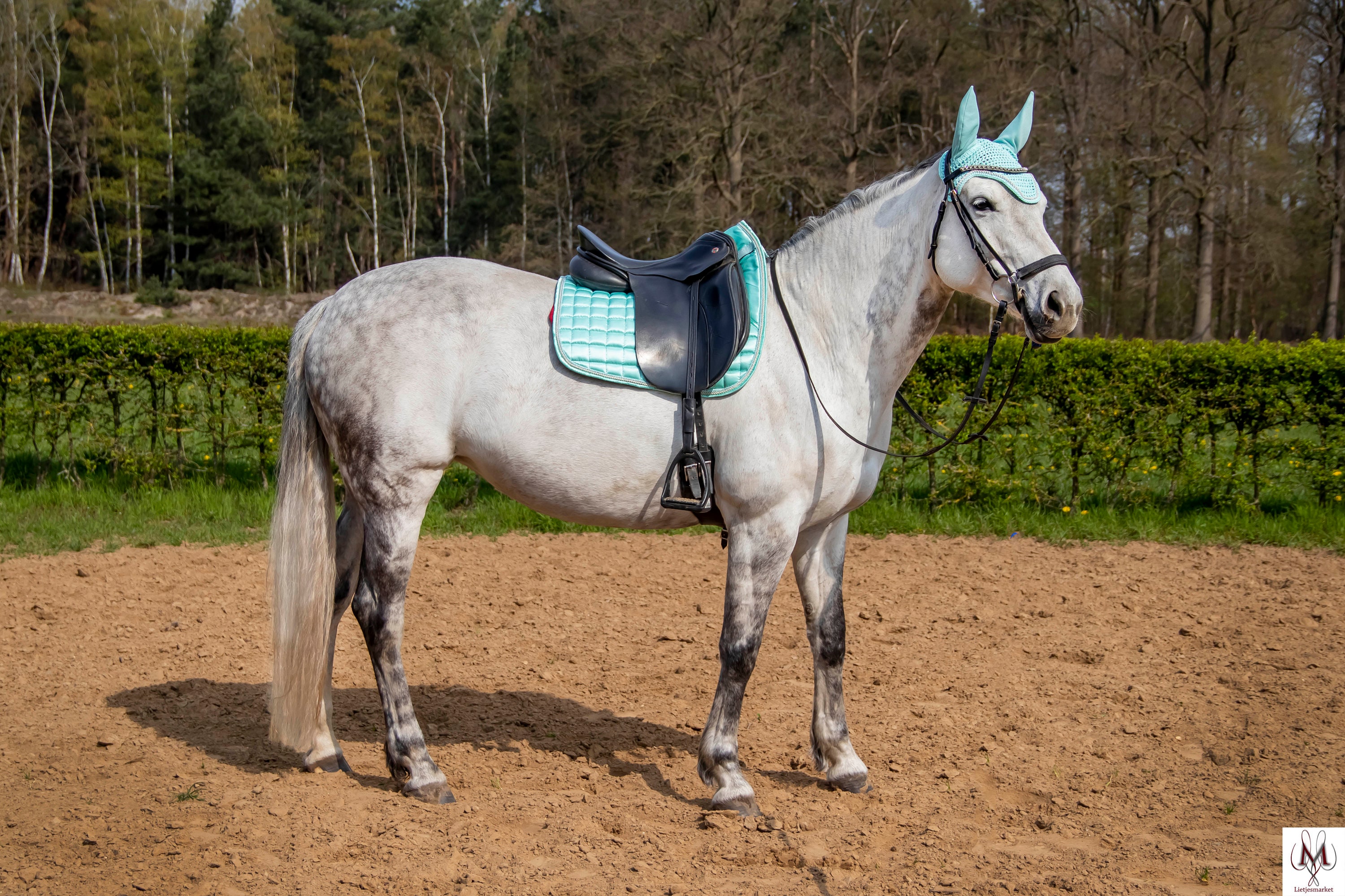 Mint Green Saddle Pad Saddle Pad Mint Dressage Saddle Pad Horse