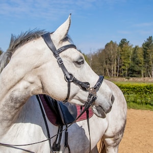 Hackamore bridle FRA calli, horse tack love hackamore, havanna hackamore bridle, black bitless bridle