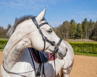 Hackamore bridle FRA calli, horse tack love hackamore, havanna hackamore bridle, black bitless bridle