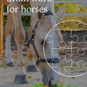 Könnte beinhalten: Ein hellbraunes Pferd mit schwarzem Halfter frisst von einer grünen Matte mit orangefarbenem und grünem Futter. Das Bild enthält den Text "Brain work for horses" und "E-book step by step guidebook" mit einer weißen Puzzle-Grafik.