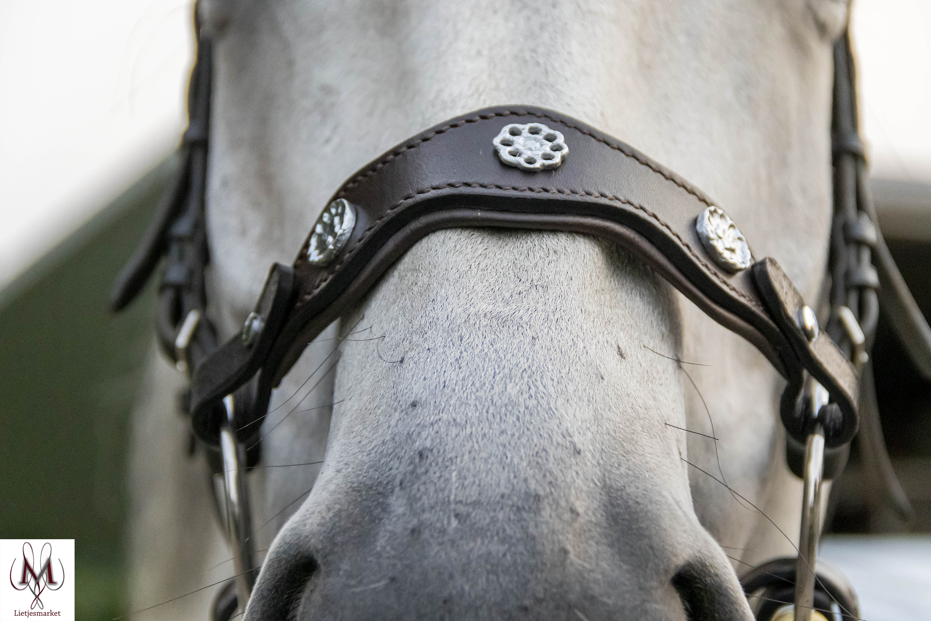 Gravure En Cuir Noir Réglable Hackamore Morsure De Cheval