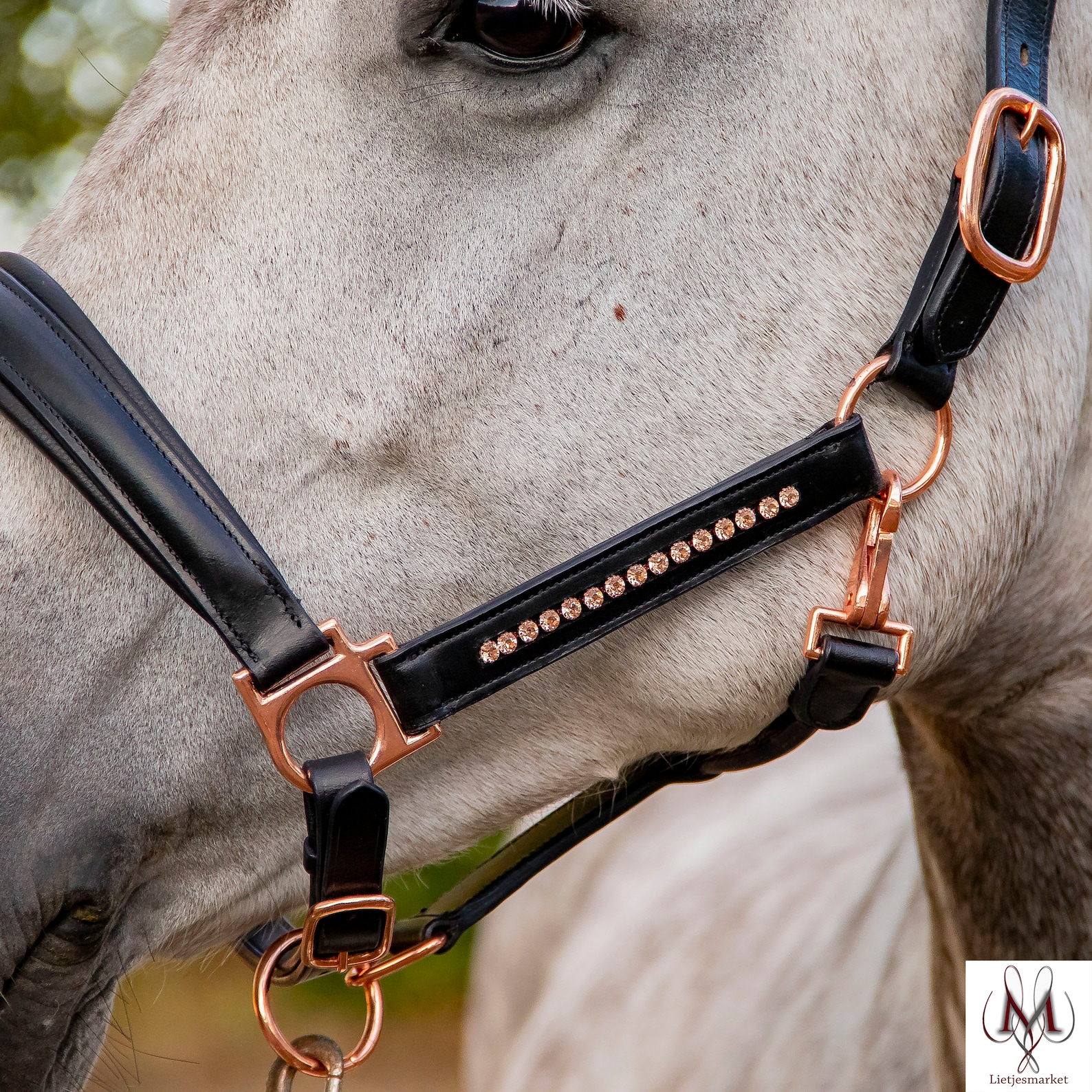 Leather halter rose gold black head collar horse show halter Etsy
