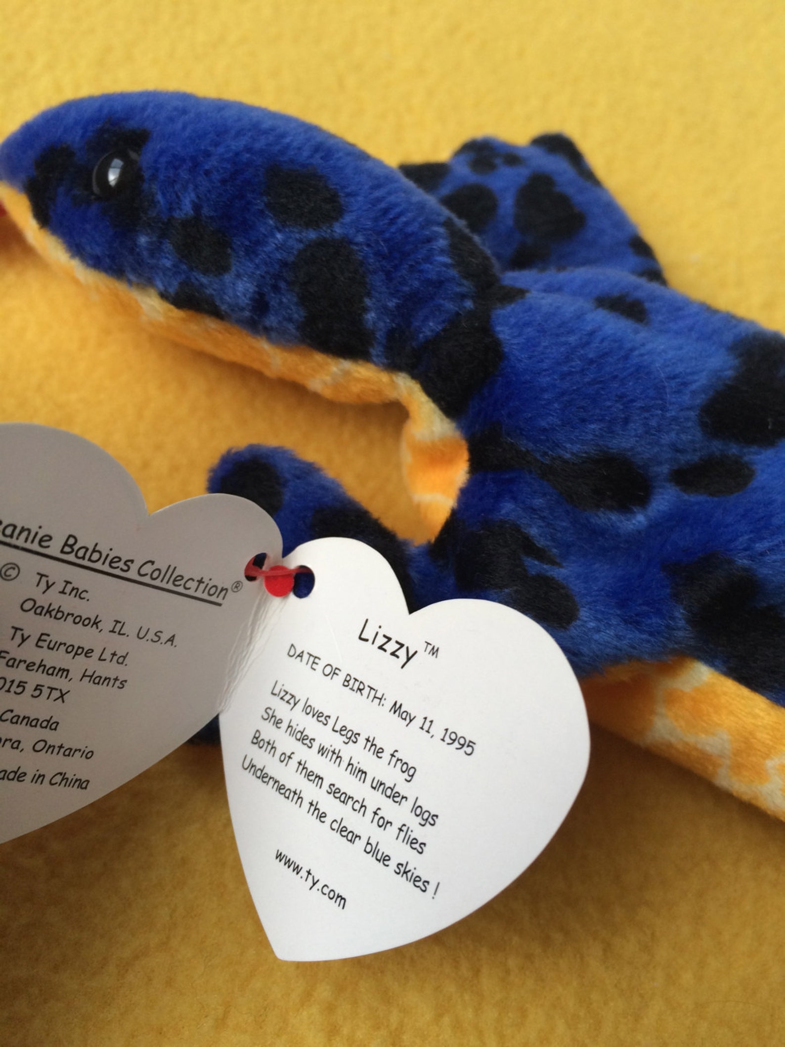 Lizzy the Lizard Ty Beanie Baby Collection Etsy