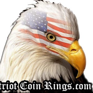 a bald eagle with an american flag on its head