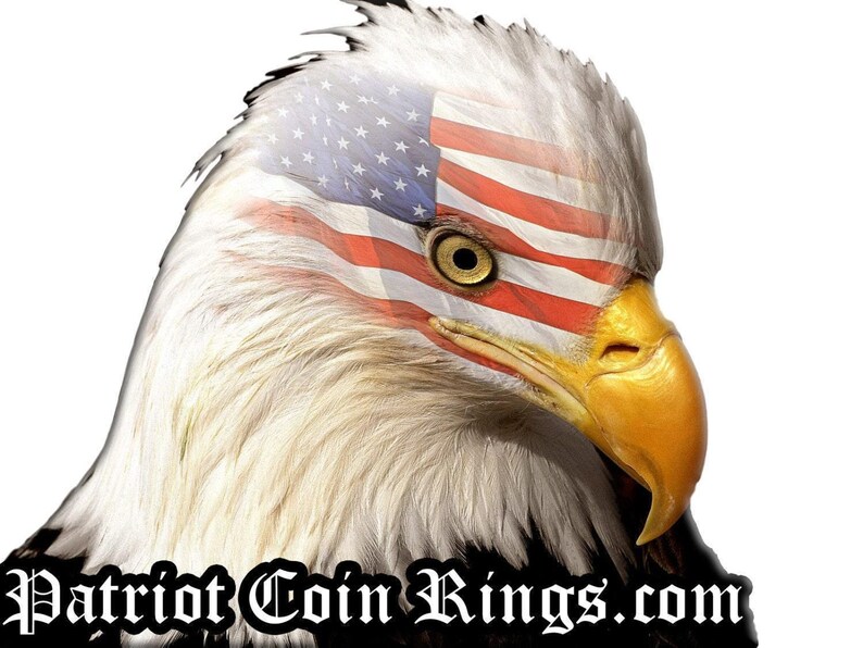 a bald eagle with an american flag on its head