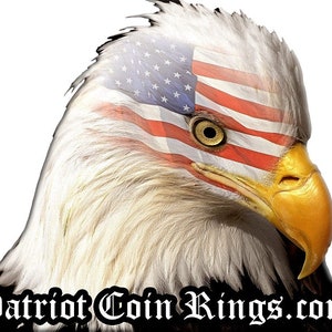 a bald eagle with an american flag on its head