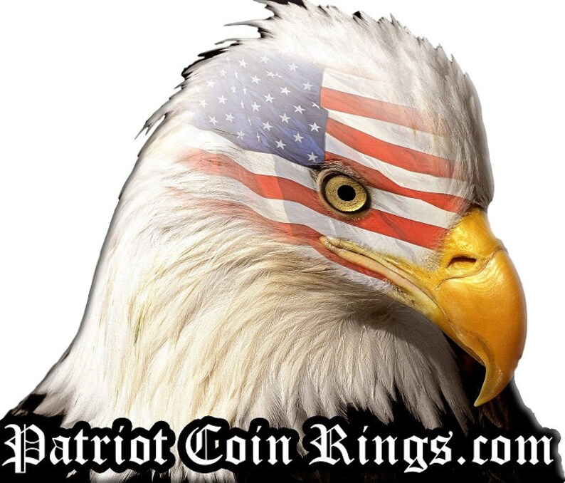 a bald eagle with an american flag on its head
