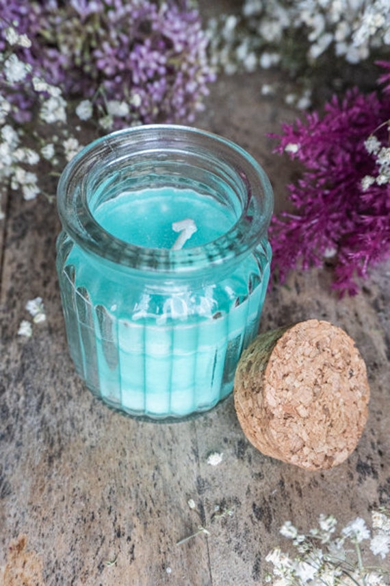 Bougie Cire de Soja Pomme Cannelle Violette Noël Sucré