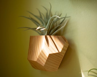 Set of 4 Hemlock Geometric Air Plant Holder