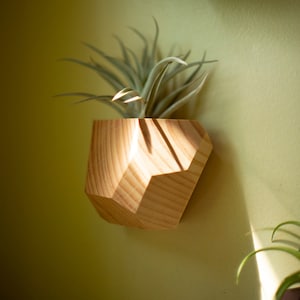 Set of 4 Hemlock Geometric Air Plant Holder