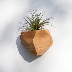 Maple Geometric Air Plant Holder image 3