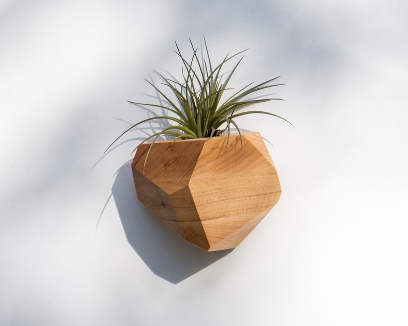 Maple Geometric Air Plant Holder image 3