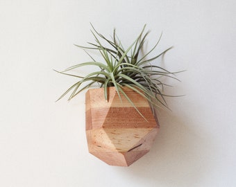 Maple Geometric Air Plant Holder