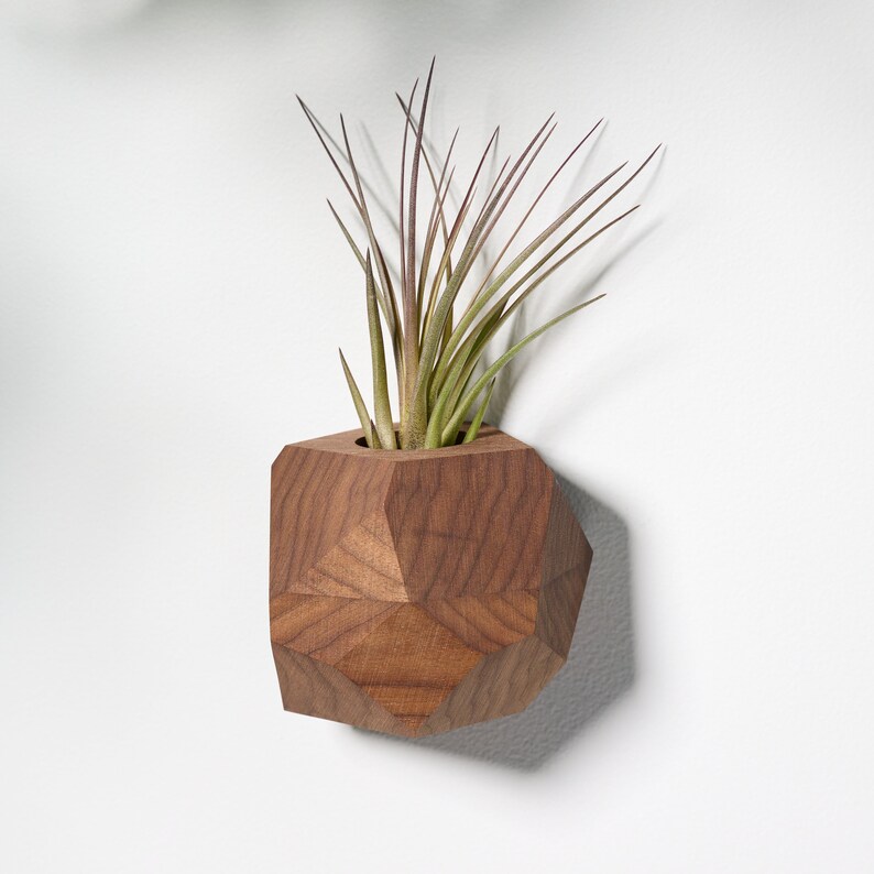 Walnut Geometric Air Plant Holder image 6