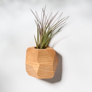 Red Oak Geometrischer Luftpflanzenhalter