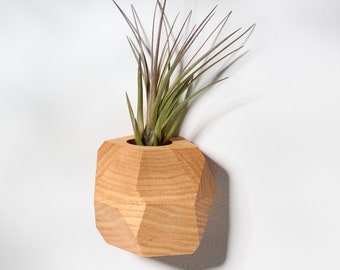 Red Oak Geometric Air Plant Holder