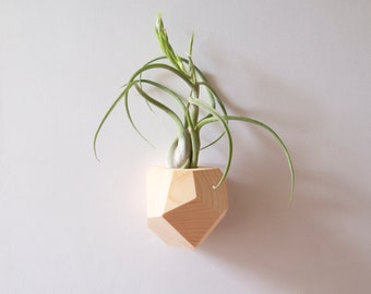 Hemlock Geometric Air Plant Holder